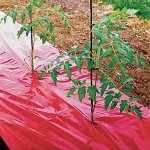 Growers Red Plastic Mulch