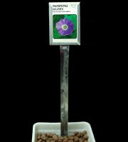 3.25+in+x+4.5+in.+Sign+Holder+%2F+Seed+packet+Holder