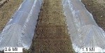 Ken-Bar Low Tunnels -- Hoop Supported Row Covers