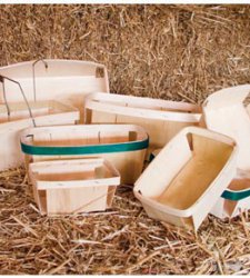 Till / Berry Baskets