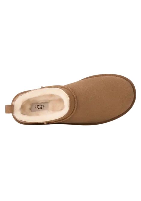 Stivali Classic Micro colore cammello Ugg | W/1173891CHESTNUT