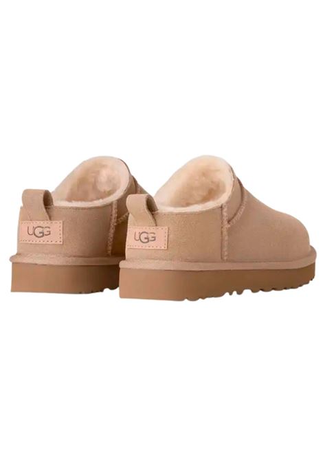 Classic Micro Camel Boots Ugg | W/1173891SAN