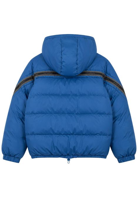 Giubbino bambino blu imbottito EMPORIO ARMANI | 7B000376BLU