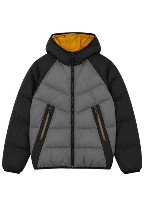 Giubbino bambino grigio/nero imbottito EMPORIO ARMANI | 7B000402GRIGIO/NERO