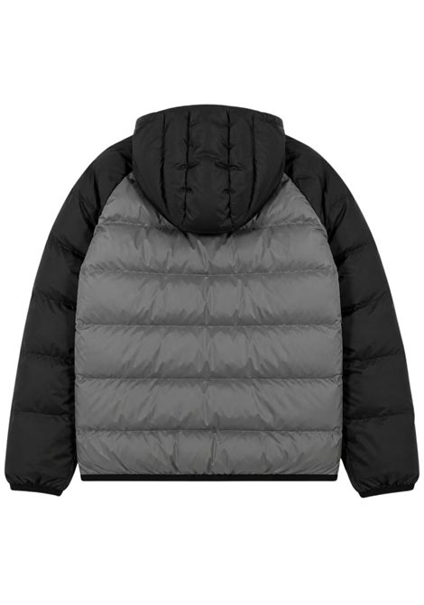 Giubbino bambino grigio/nero imbottito EMPORIO ARMANI | 7B000402GRIGIO/NERO