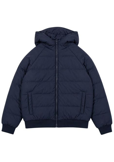 Giubbino bambino blu imbottito EMPORIO ARMANI | 7B000403BLU