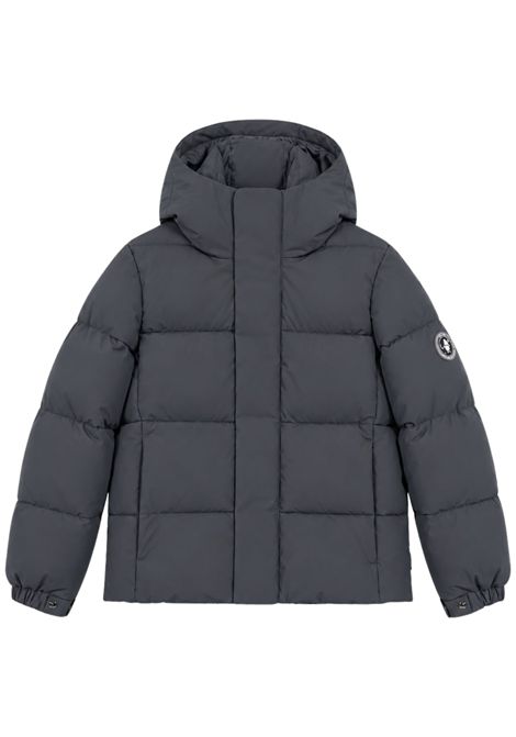 Children's grey padded jacket SAVE THE DUCK | P31888B/MGRIGIO