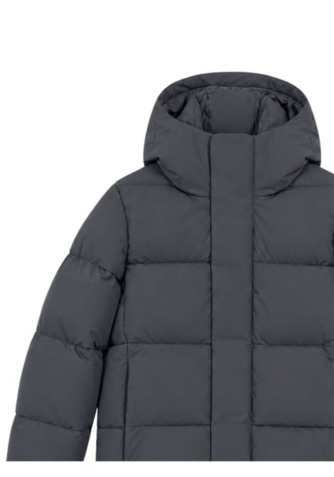 Children's grey padded jacket SAVE THE DUCK | P31888B/MGRIGIO