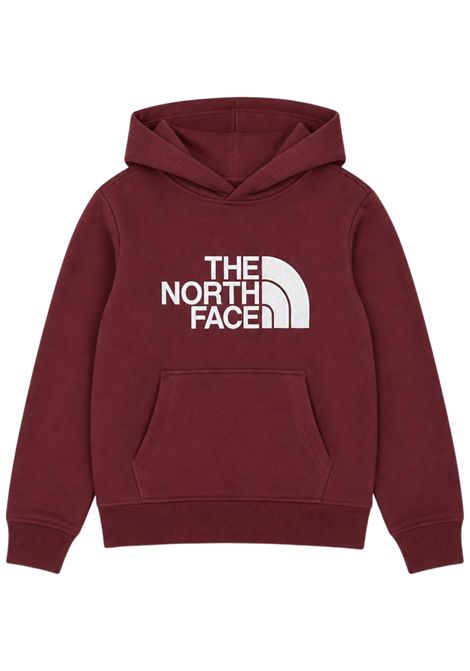 Felpa unisex terra in cotone THE NORTH FACE | TEEN DREW/DEBTERRA