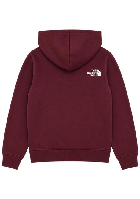 Felpa unisex terra in cotone THE NORTH FACE | TEEN DREW/DEBTERRA