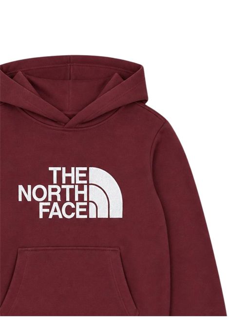 Felpa unisex terra in cotone THE NORTH FACE | TEEN DREW/DEBTERRA