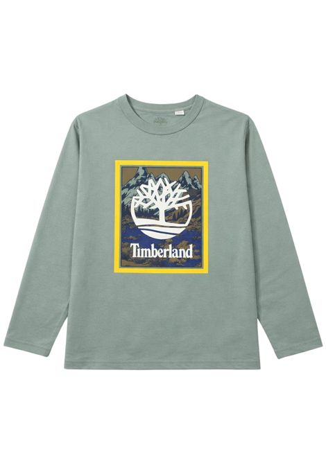 Green cotton T-shirt for children Timberland | T60545/SUVERDE