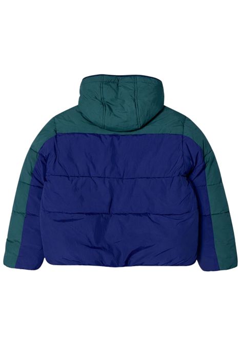 Blue/green padded children's jacket Timberland | T60554/SUBLU/VERDE