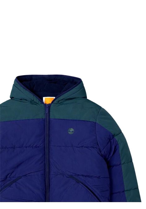 Blue/green padded children's jacket Timberland | T60554/SUBLU/VERDE