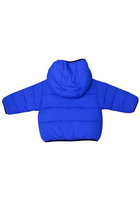 Blue padded baby jacket Timberland | T60590/SUBLU ELETTRICO