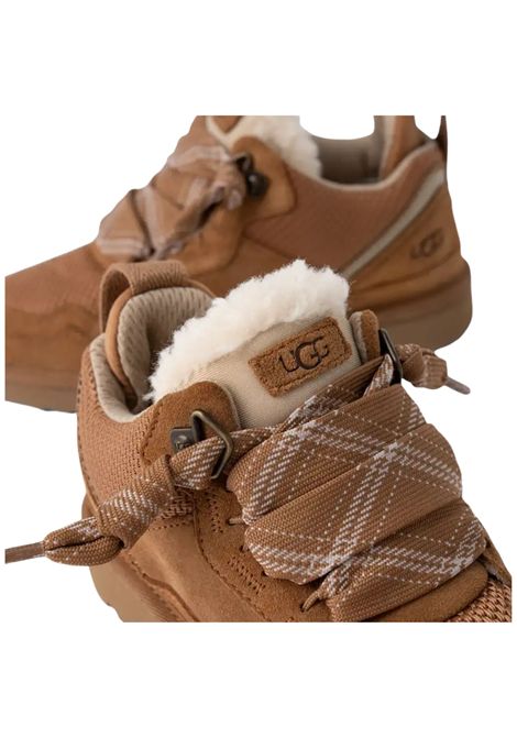 Sneakers Lowmel cammello Ugg | K/1152410KCHESTNUT