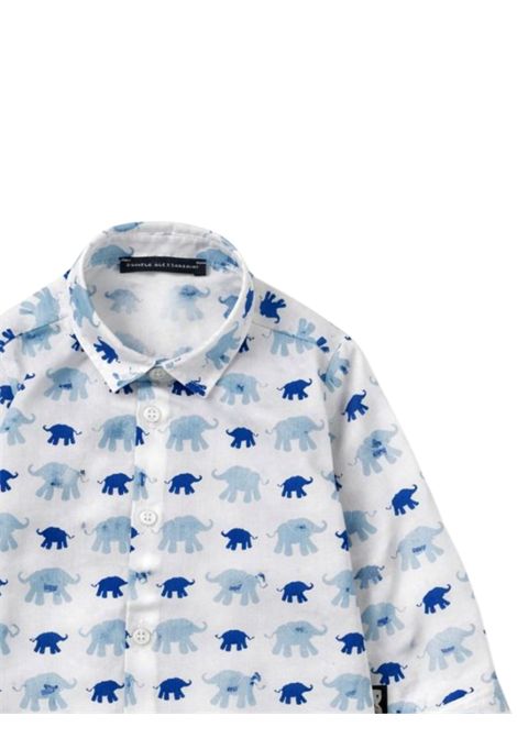 White/blue cotton baby shirt DANIELE ALESSANDRINI | 1295C00177/MABIANCO/BLU