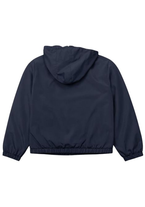 Giubbino bambino blu con cappuccio EMPORIO ARMANI | 7B000167BLU