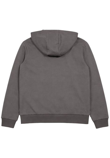 Felpa bambino grigia in cotone EMPORIO ARMANI | 7B000253GRIGIO