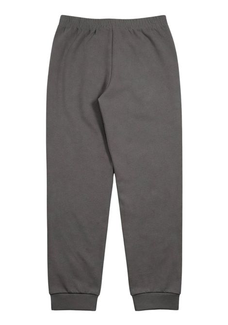 Pantalone bambino grigio in cotone EMPORIO ARMANI | 7B000255GRIGIO