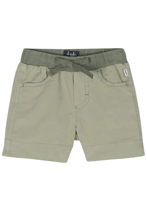 Green cotton baby Bermuda shorts IL GUFO | PB074C6035/CEVERDE