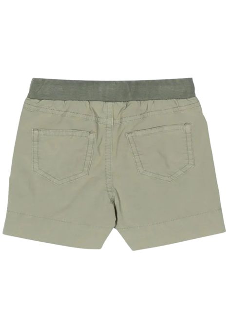 Green cotton baby Bermuda shorts IL GUFO | PB074C6035/CEVERDE