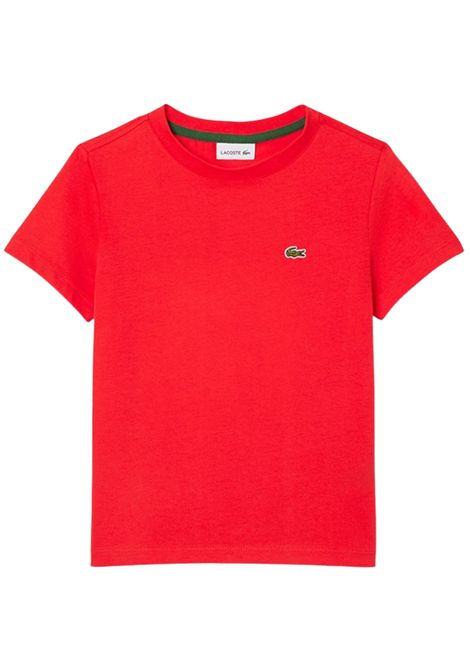 Red cotton T-shirt for children LACOSTE | TJ1122/MAROSSO