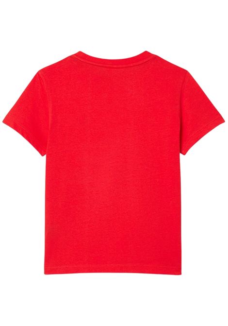 Red cotton T-shirt for children LACOSTE | TJ1122/MAROSSO