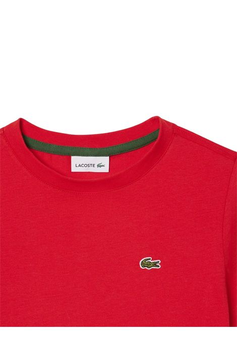 Red cotton T-shirt for children LACOSTE | TJ1122/MAROSSO