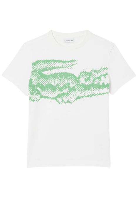 White cotton T-shirt for children LACOSTE | TJ8460/MABIANCO/VERDE
