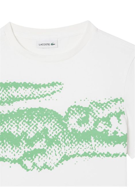 White cotton T-shirt for children LACOSTE | TJ8460/MABIANCO/VERDE