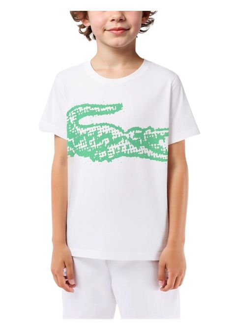 White cotton T-shirt for children LACOSTE | TJ8460/MABIANCO/VERDE
