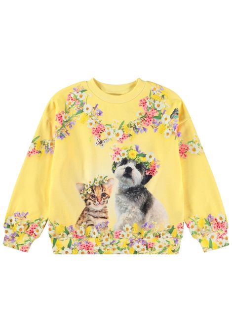 Felpa bambina gialla in cotone MOLO | 2S25J211/MOGIALLO