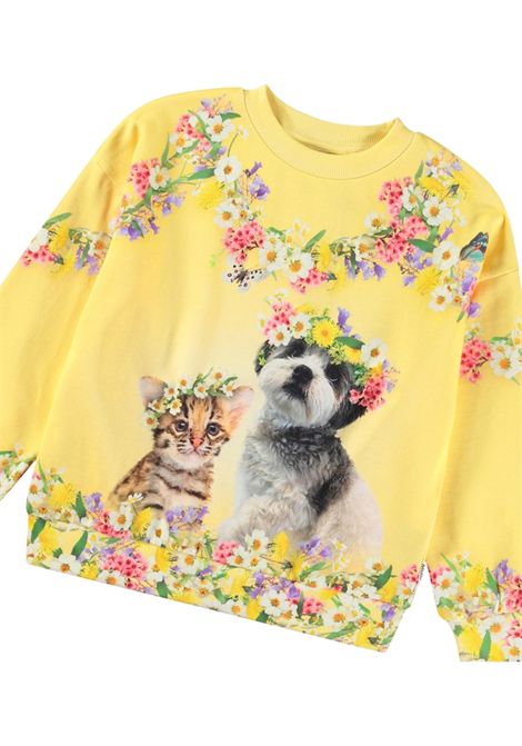 Felpa bambina gialla in cotone MOLO | 2S25J211/MOGIALLO