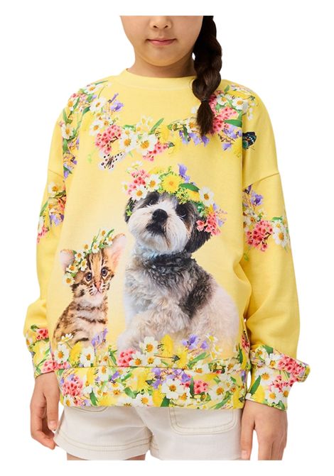 Felpa bambina gialla in cotone MOLO | 2S25J211/MOGIALLO