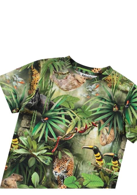 Green cotton T-shirt for children MOLO | RALPHIEVERDE