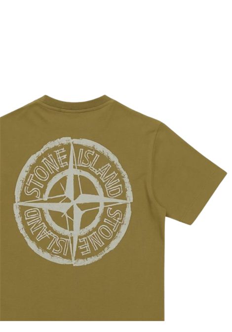 T-shirt bambino verde in cotone Stone Island | 2100010/CEVERDE