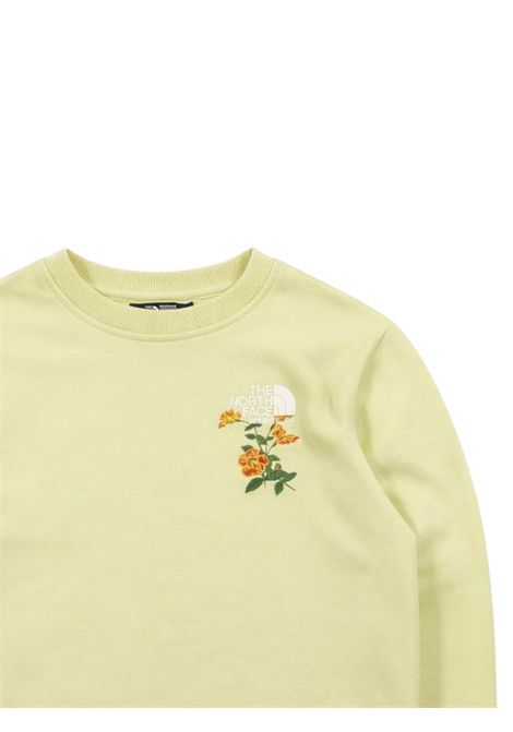 Felpa bambina verde chiaro in cotone THE NORTH FACE | G1PG60VERDE CHIARO