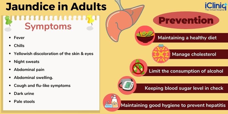 Jaundice In Adults An Overview Types Symptoms Risk Factors Jaundice In Adults An Overview Types Symptoms Risk Factors