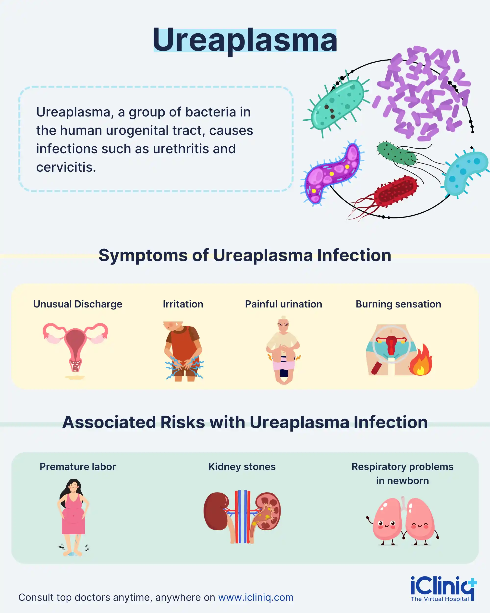 Ureaplasma - Causes | Symptoms | Treatment | and Prevention