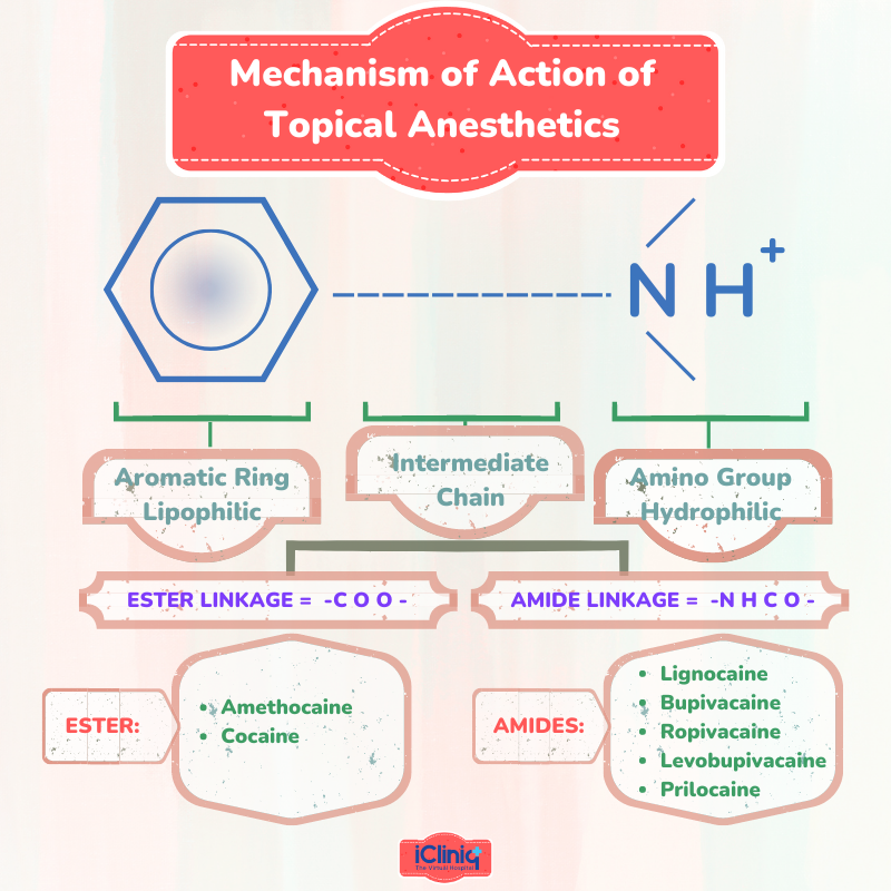 What Is EsterType Topical Anesthetics?