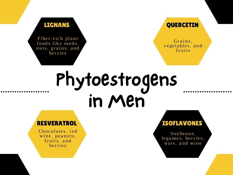What Are Estrogens and Phytoestrogens?