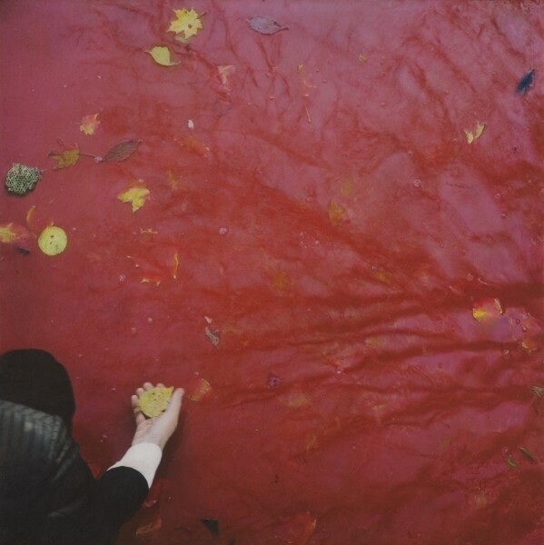 Shana and Robert ParkeHarrison : Bodies of Work : Counterpoint