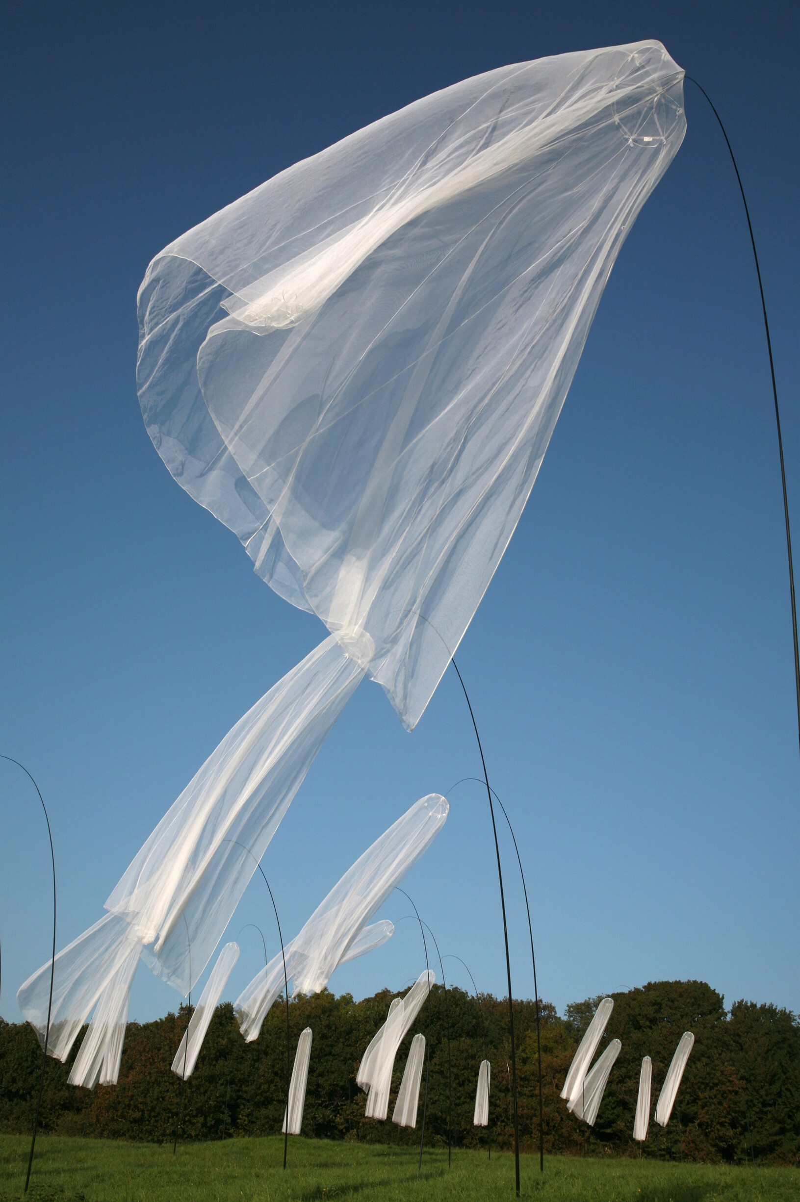 Pier Fabre : Meduse