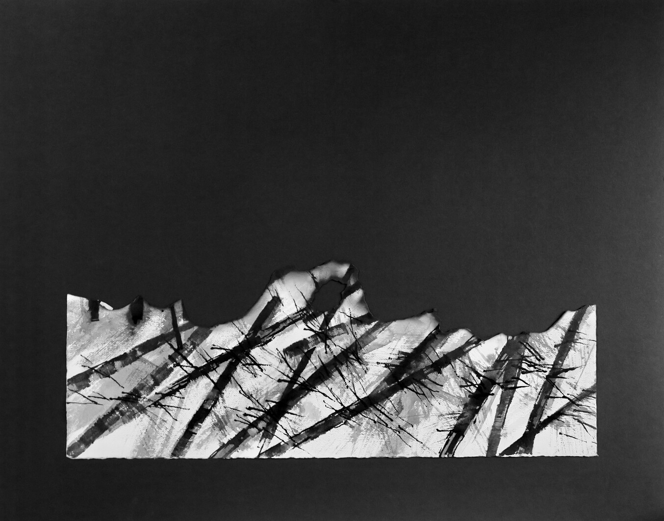 Satoko Motouji : 2D Project : Perished