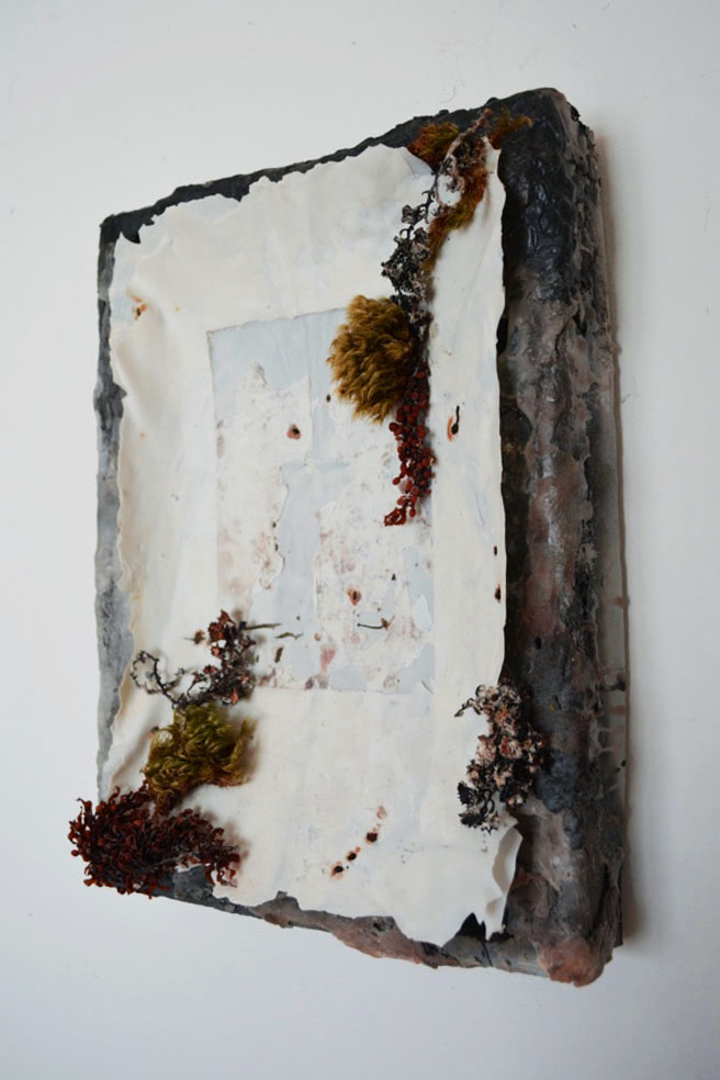 Tomoko Amaki Abe : Mixed Media