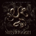 Catch ThirtyThree by Meshuggah