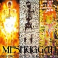 Destroy Erase Improve by Meshuggah