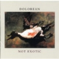 Not Exotic by Dolorean
