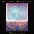 Cascade by Peter Murphy